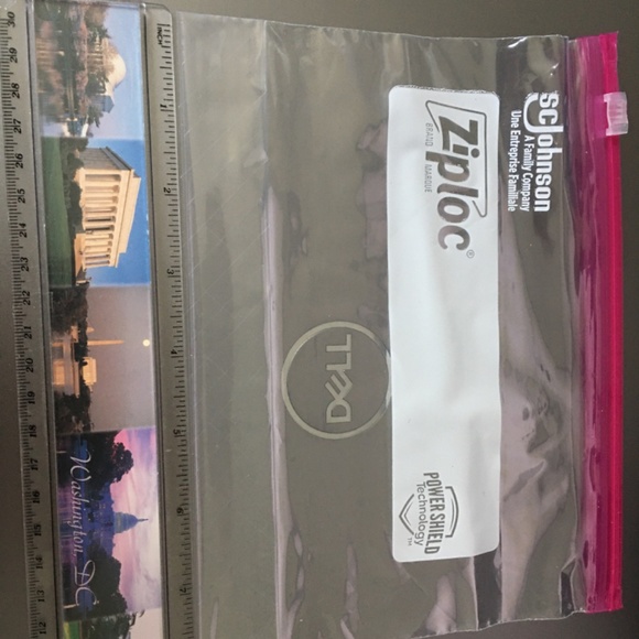 Live Spanish Moss (Air Plants) - Picture 5 of 5